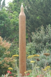 Monument voor het kleinste vogeltje